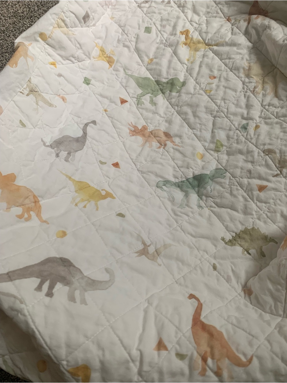 Crate & Kids Dinosaur Change Pad Cover